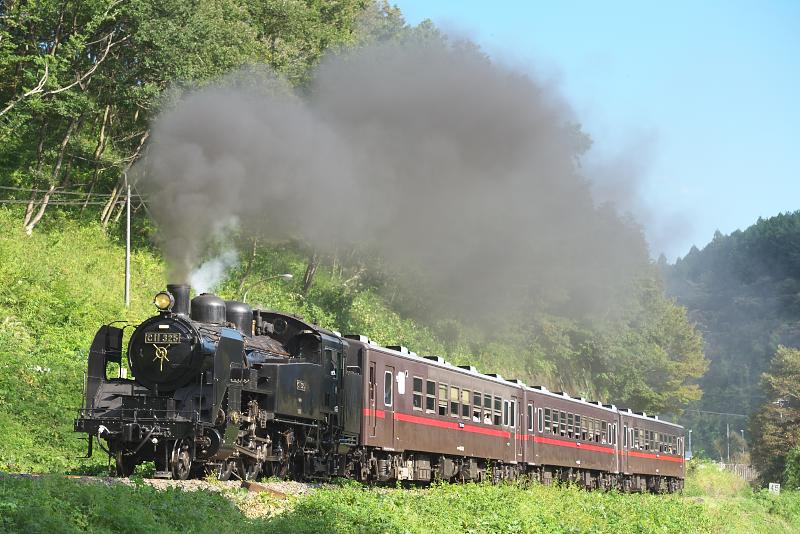 _d6c2857.jpg
