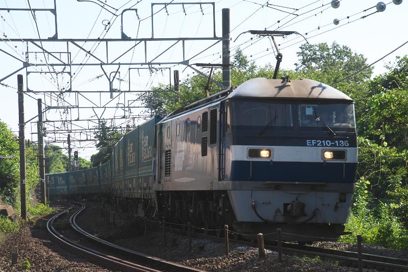 _d5c0017.jpg