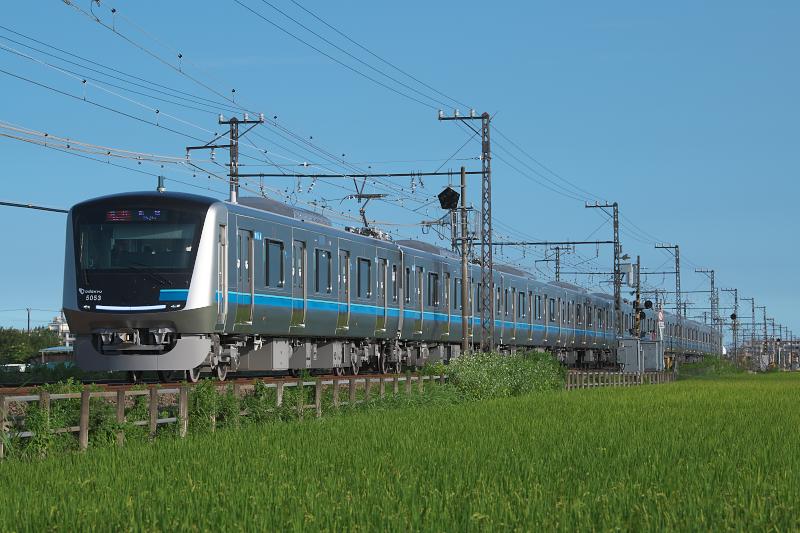 _d8c0767.jpg