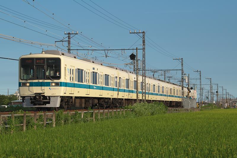 _d8c0791.jpg