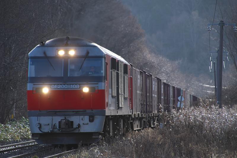 _d5c1093.jpg