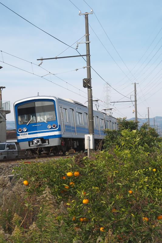 _d5c1199.jpg