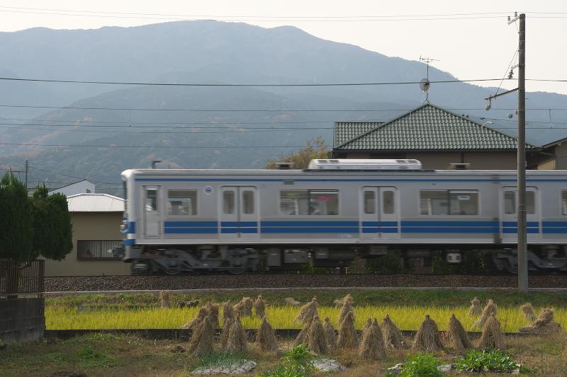 _d5c1212.jpg