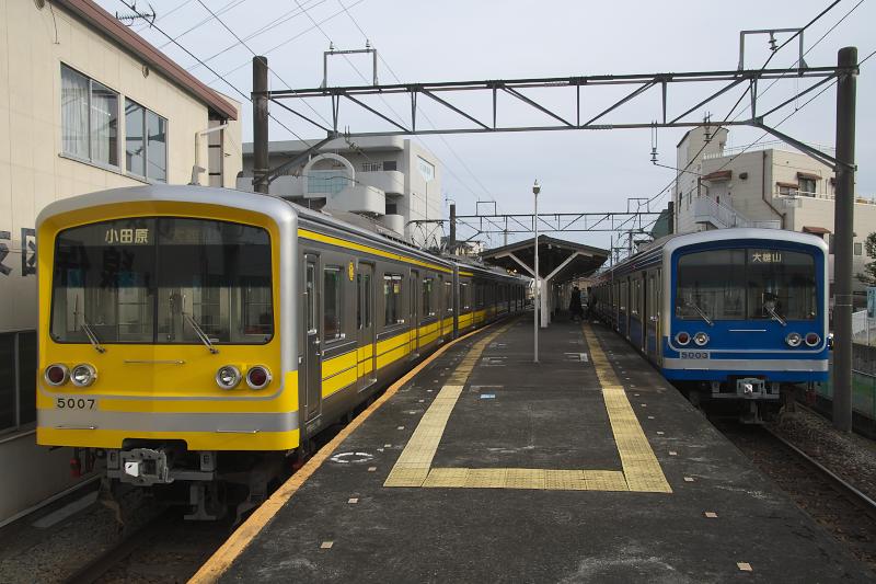 _d5c1230.jpg