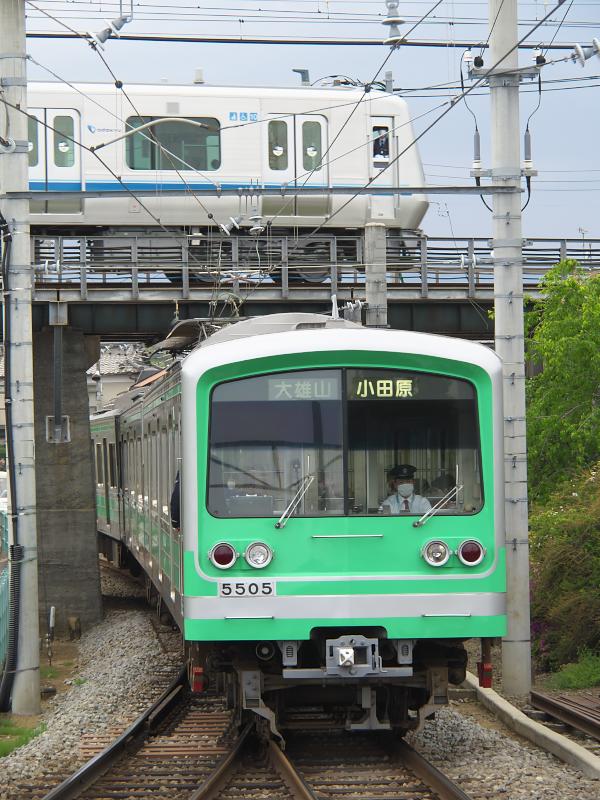 _4250102.jpg