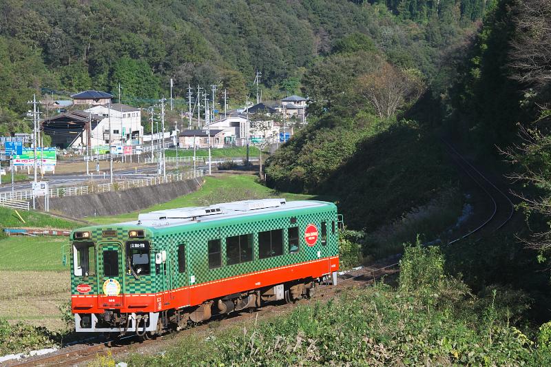 _d8c3496.jpg