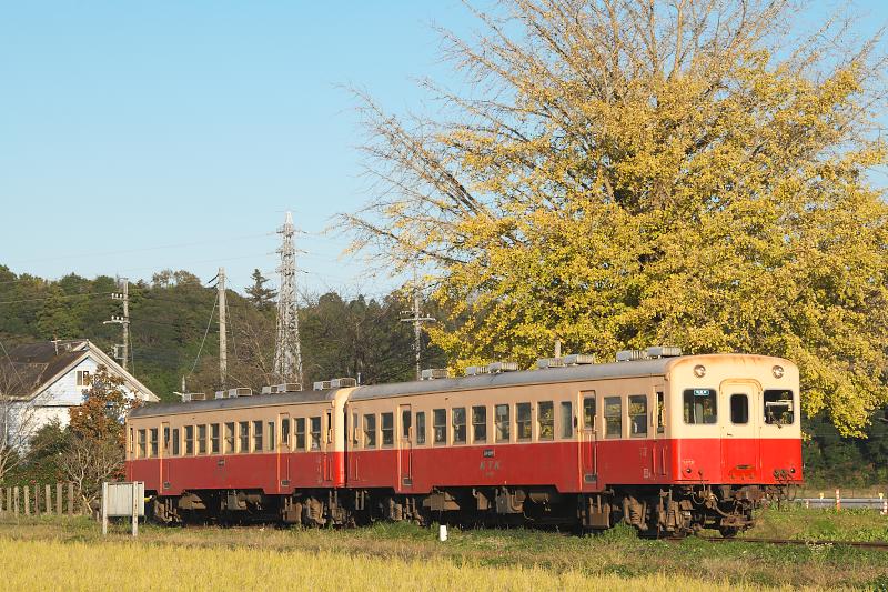 _d8c3790.jpg