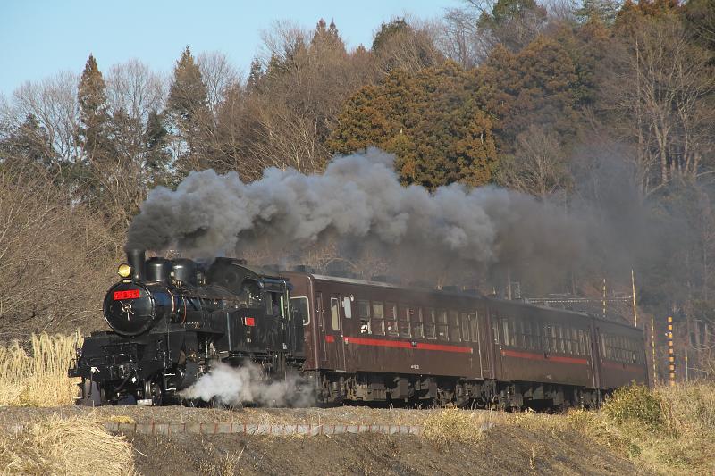 _d5c4323.jpg