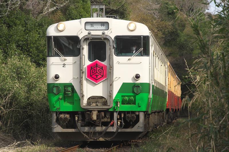 _d5c4687.jpg