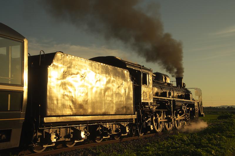 _d5c4981.jpg