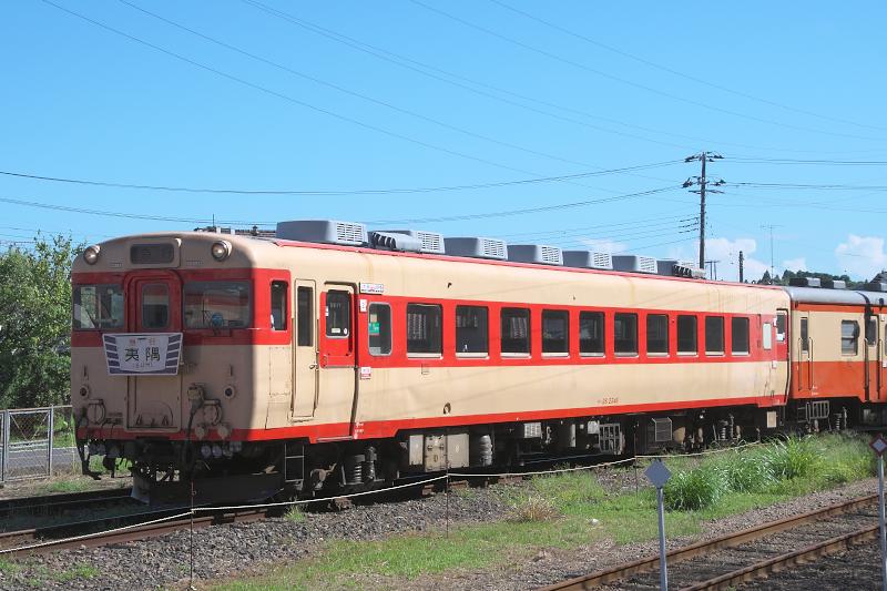 _d5c5851.jpg