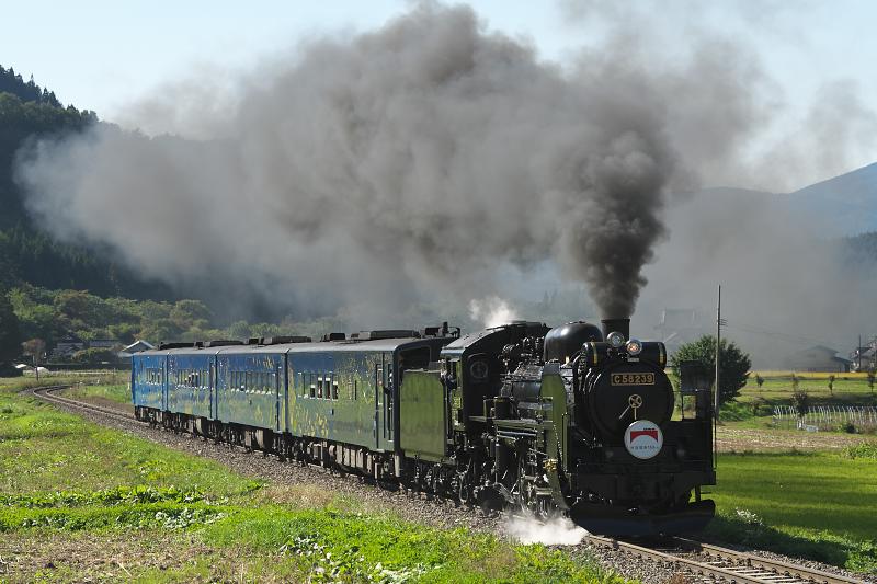 _d8c5707.jpg
