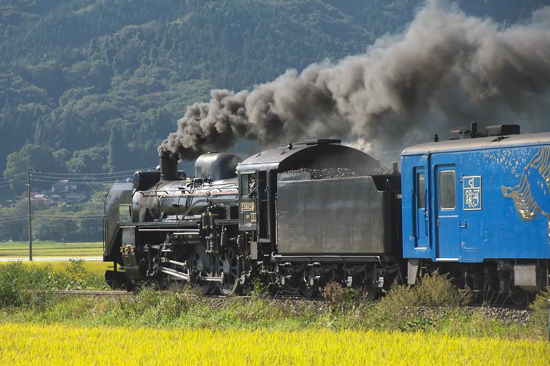 _d5c5949.jpg