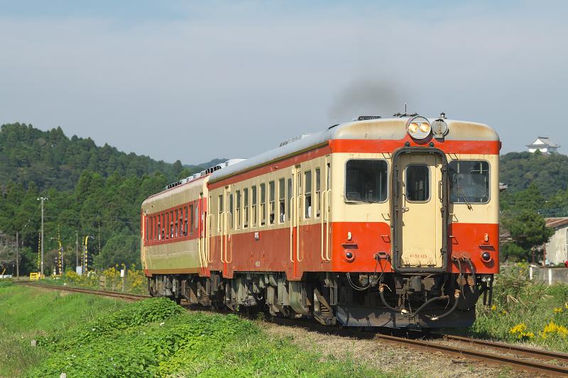 _d8c5740.jpg