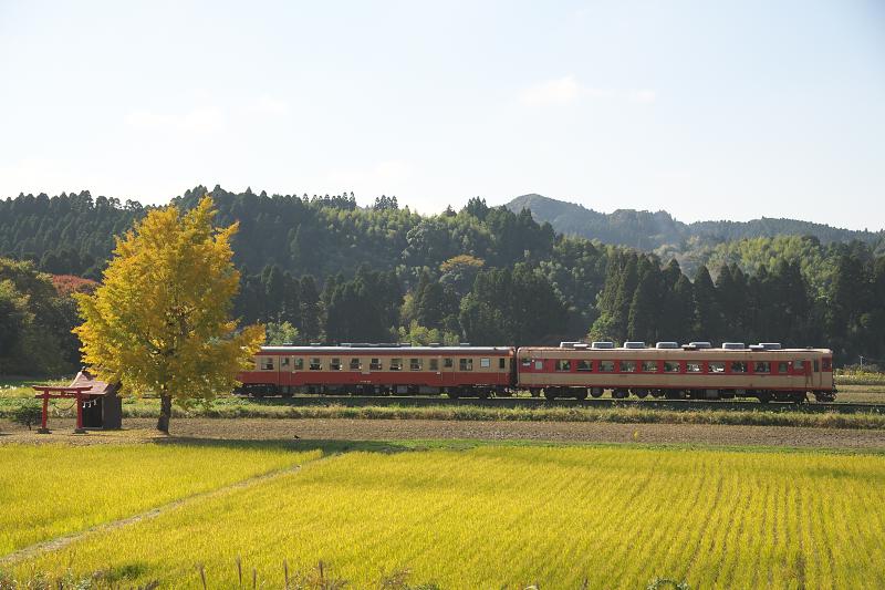 _d8c5854.jpg