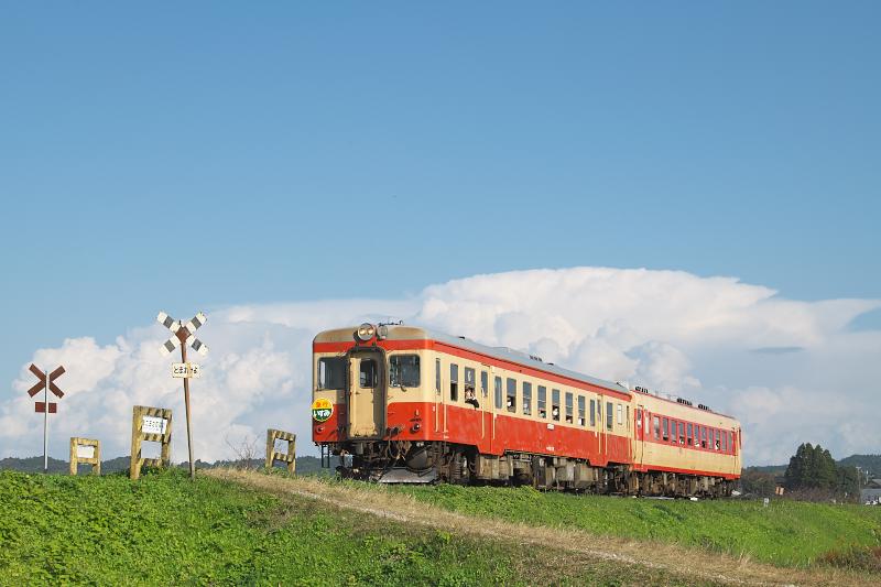 _d8c5885.jpg