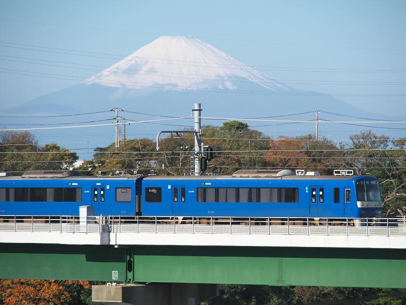 _b271051.jpg