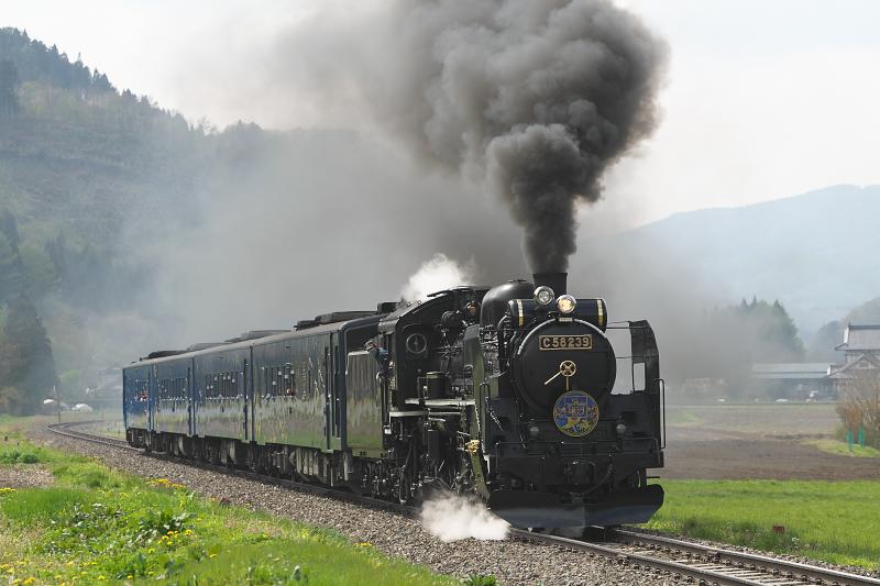 _d8c7517.jpg