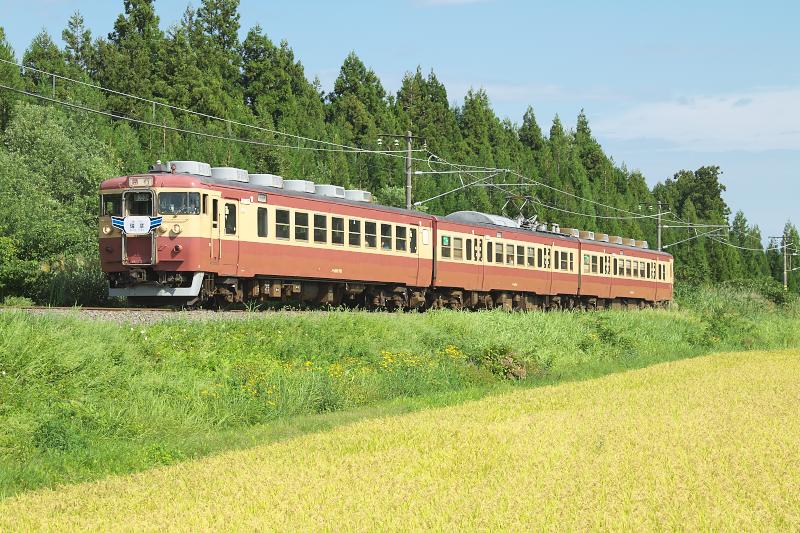 _d8c9452.jpg