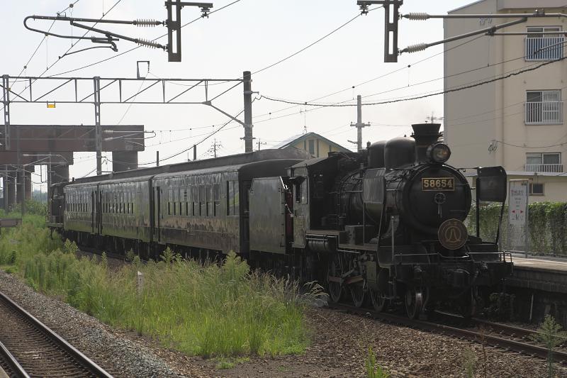 _d5c7884.jpg