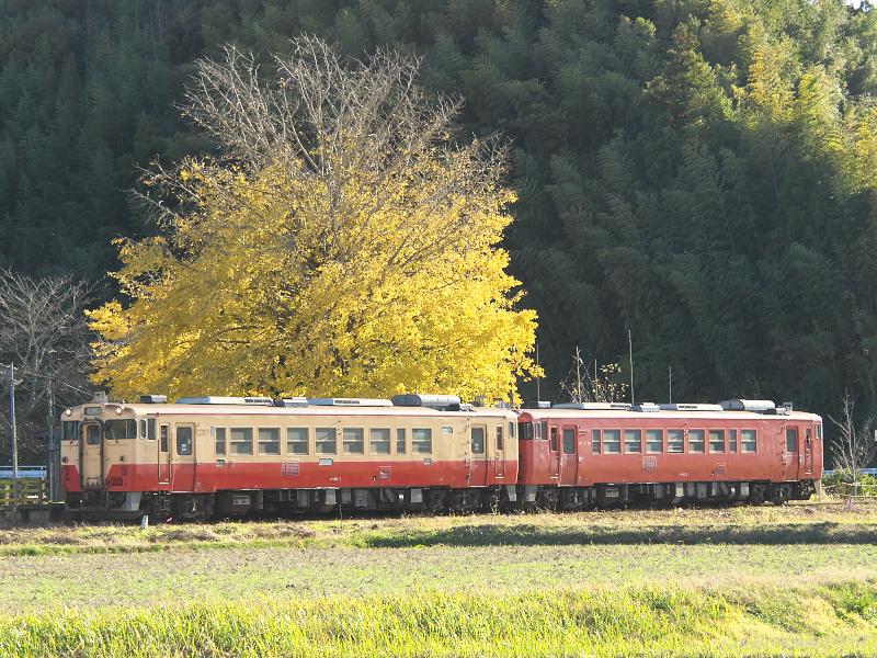 _b207937.jpg
