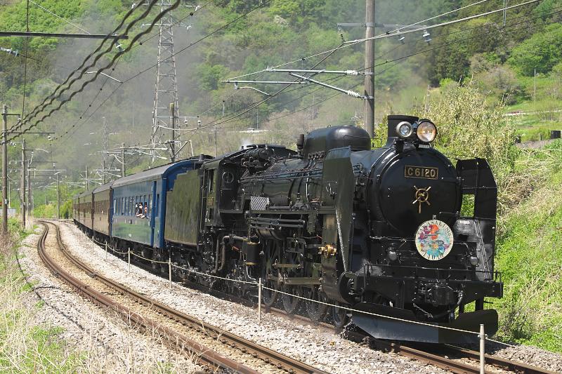 _d8c1311.jpg