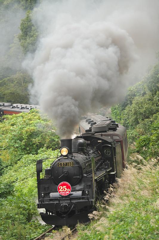 _d8c2490.jpg