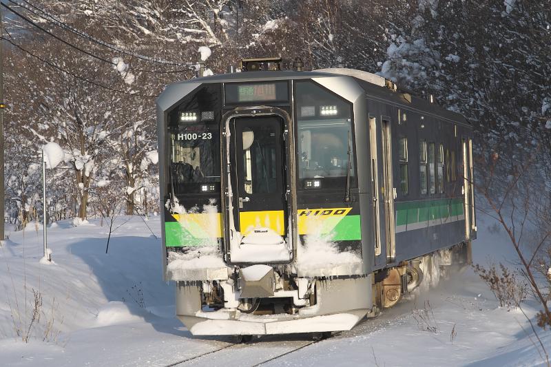 _d5c0504.jpg