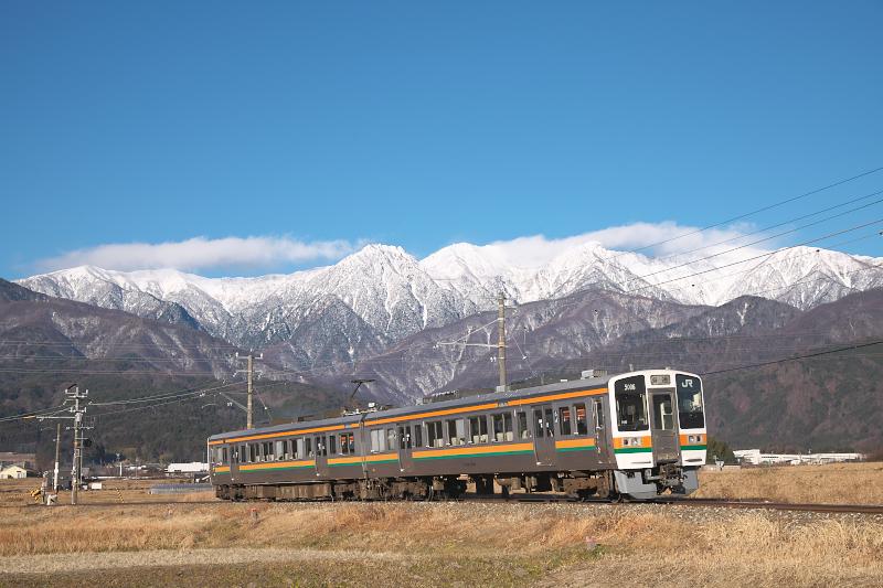 _d8c0309.jpg