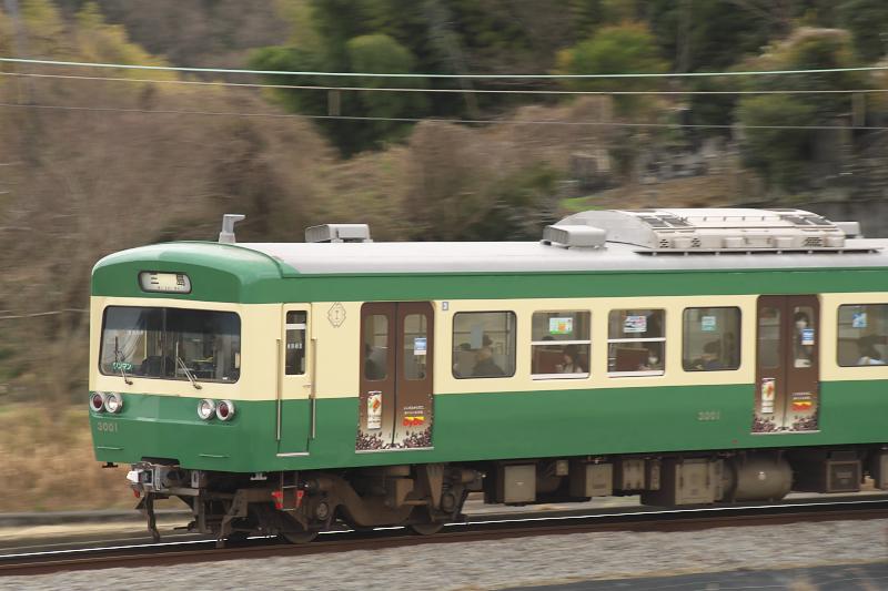 _d5c0772.jpg