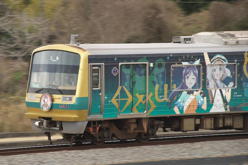 _d5c0811.jpg