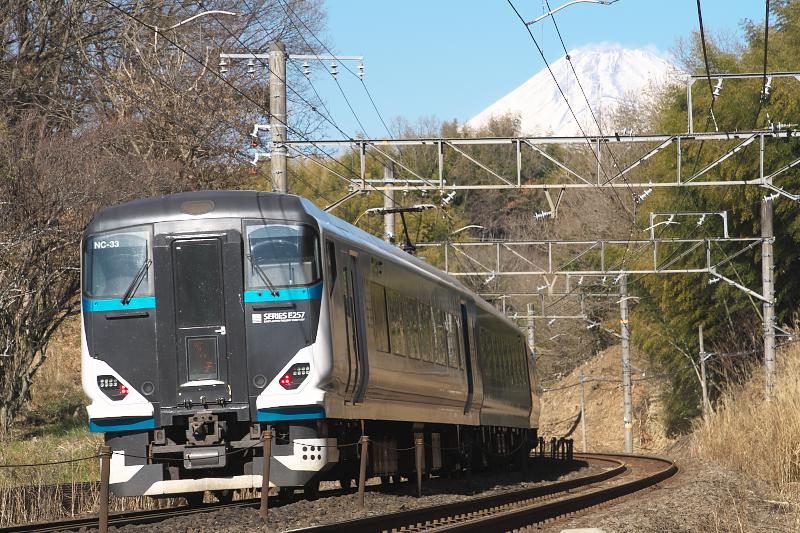 _d5c0920.jpg