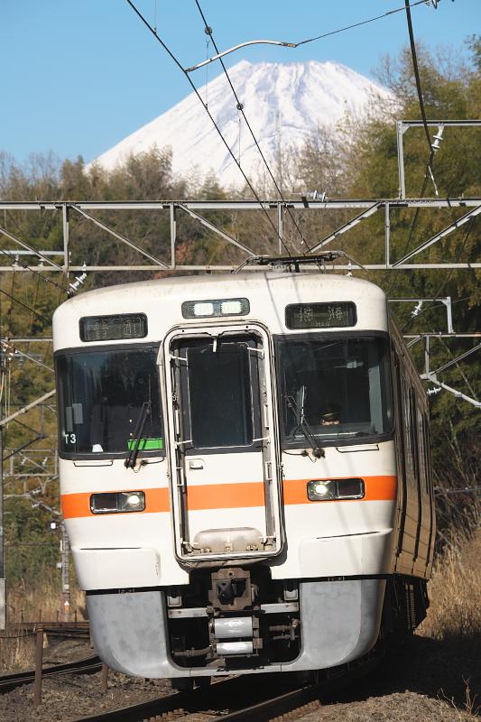 _d8c0398.jpg
