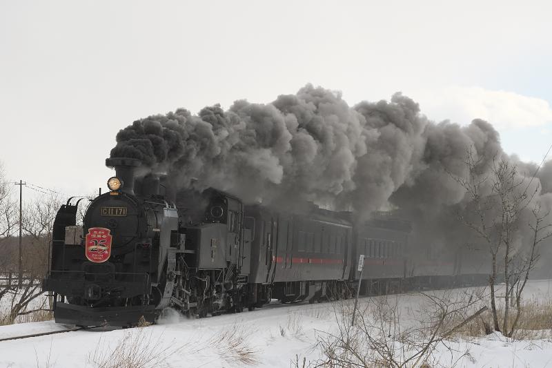 _d5c0958.jpg