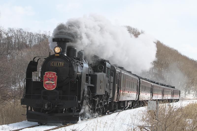 _d8c0484.jpg