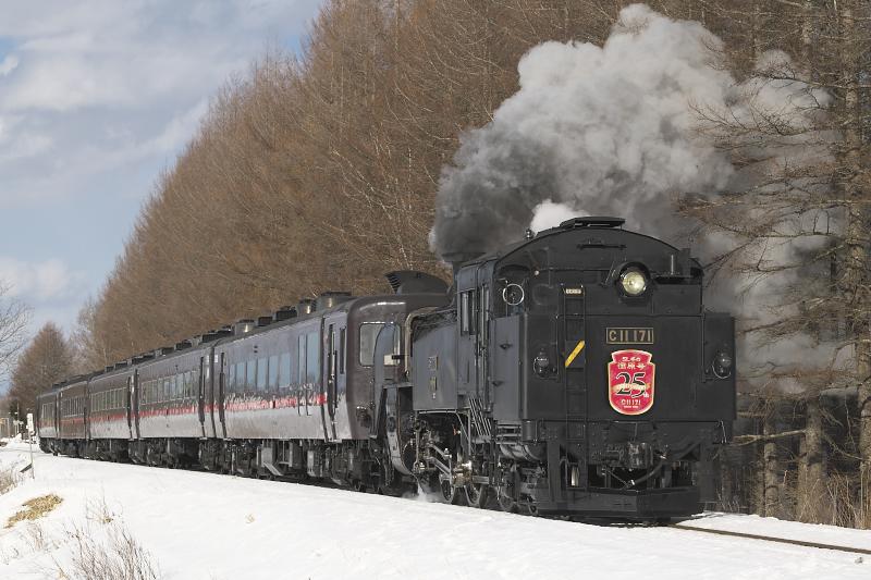 _d8c0490.jpg