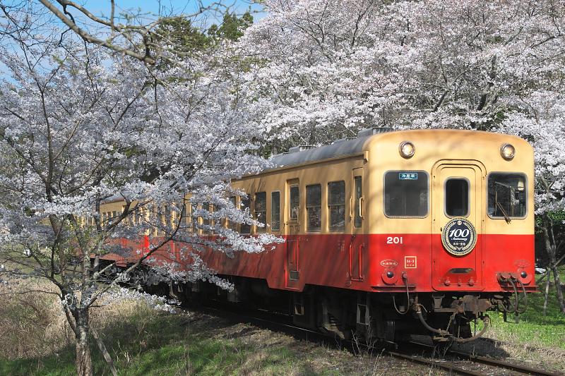 _d5c1280.jpg