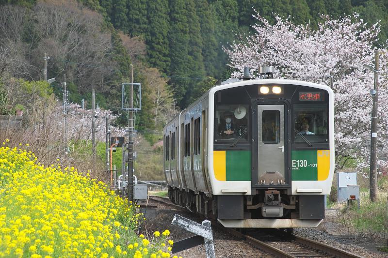 _d5c1310.jpg