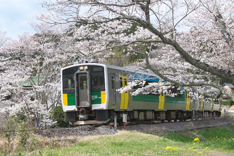 _d8c0930.jpg