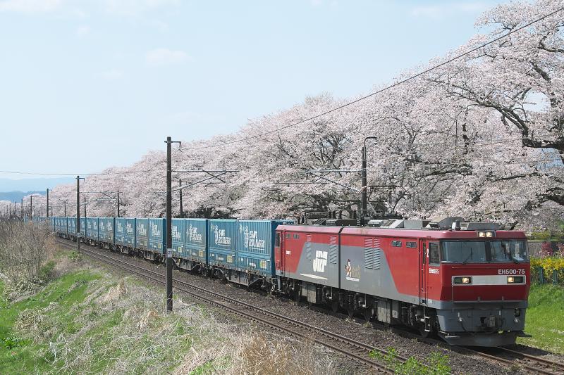 _d8c1097.jpg