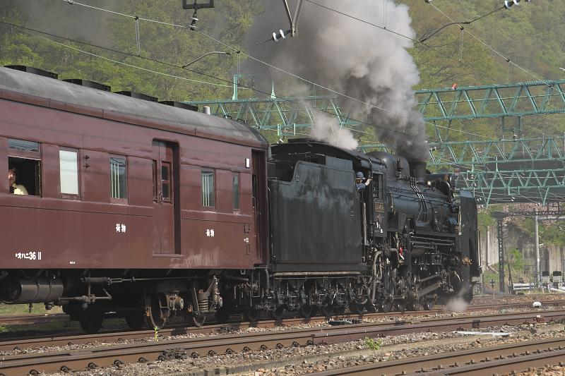 _d5c1396.jpg