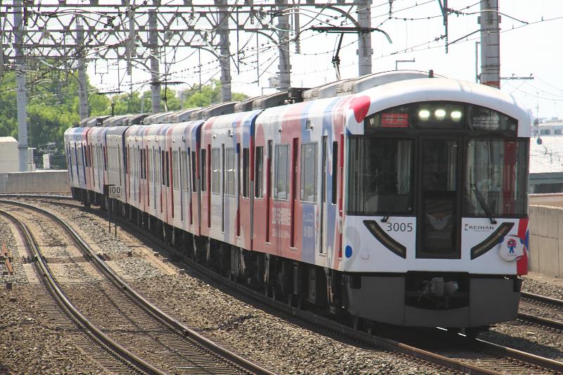 _d5c1782.jpg